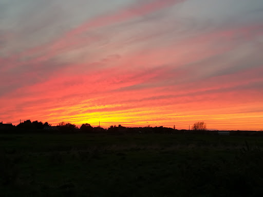 MPD Electrical - Visual