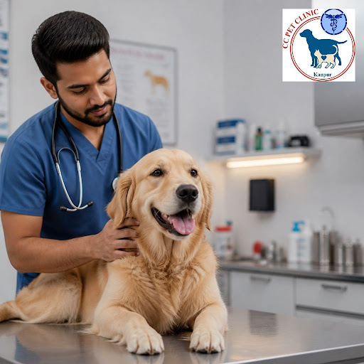Confused between wellness plans and pay-per-visit veterinary care? At Caring Claws Pet Clinic and…