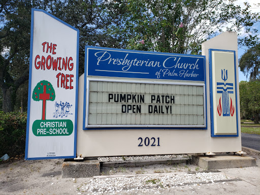Presbyterian Church of Palm Harbor - Thumbnail