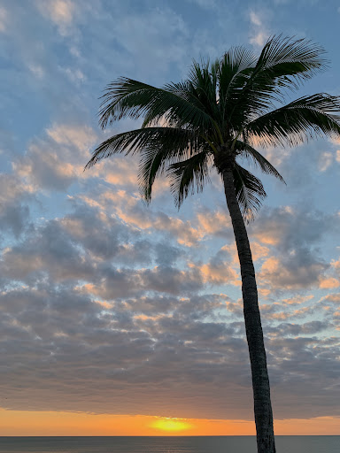 Vanderbilt Beach - Visual