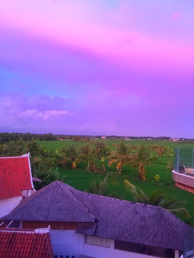 Photos of The Caz bali