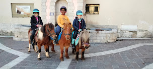 Photo n°15 de Les Poneys Du Petit Bois à Levens (Centre équestre)