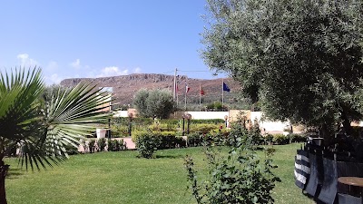 Photos of Ami Driss