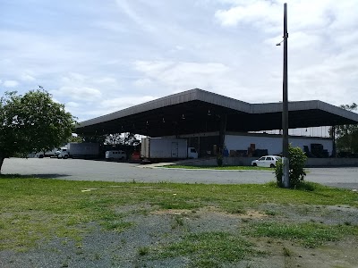 grocery-or-supermarket