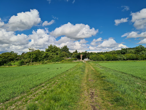 Pitstone Windmill - Visual