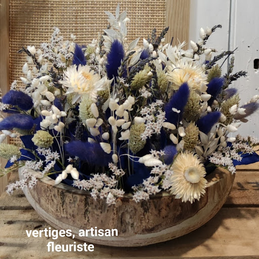 Vertiges - Visual