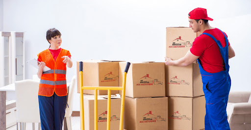 SG Movers - Visual