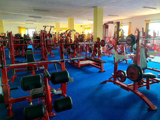 Total gym