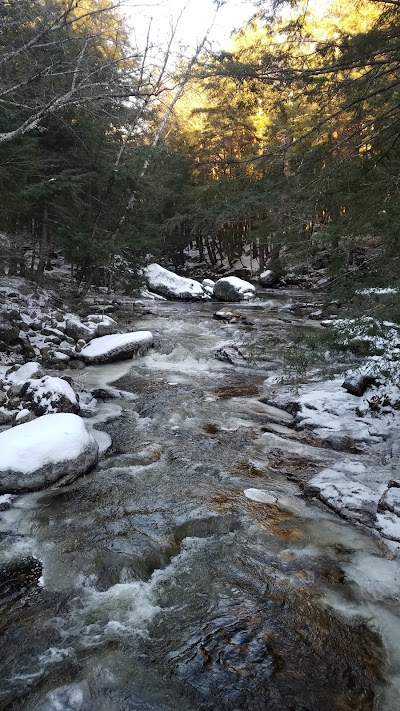 Moosalamoo Campground