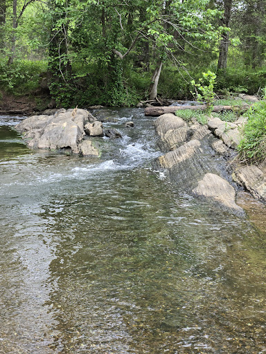 Shoal Creek Park - Thumbnail