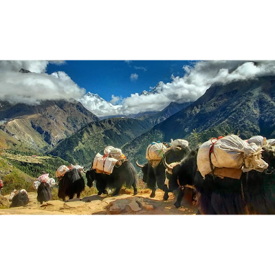Photos of My Everest Trip