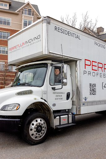 Perpetuum Moving - Visual