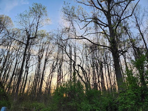 Clifty Falls State Park Nature Center - Thumbnail