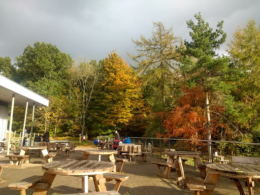 Wendover Woods Cafe - Thumbnail