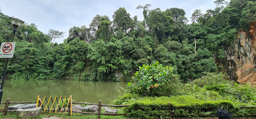 Bukit Batok Nature Park Playground - Thumbnail