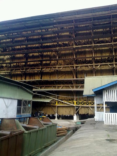 Photos of PT. DJAMBI WARAS JUJUHAN