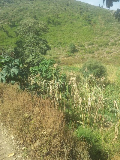 Photos of Jigjiga University Management