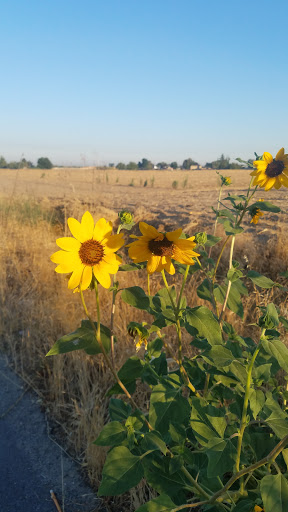 San Joaquin Delta College Farm - Thumbnail