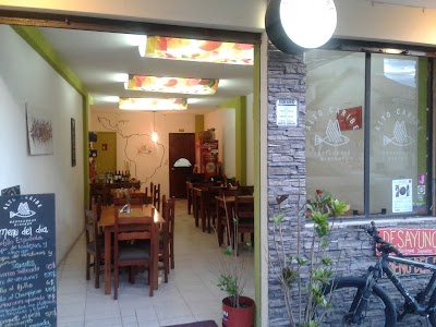 Photos of Alto Caribe Restaurant Bistrot