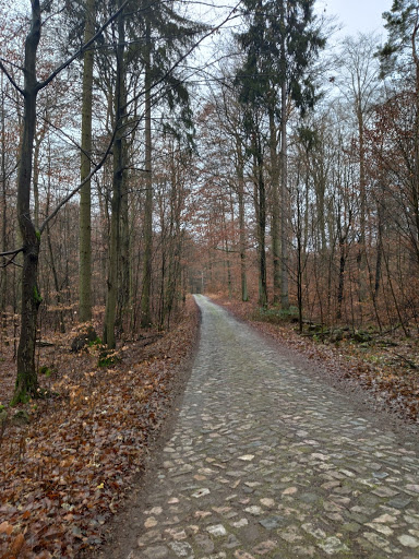 Plagefenn - Visual