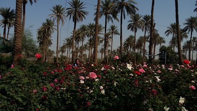 Photos of ملعب عوفي