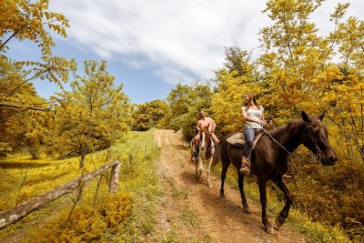 Five Oaks Riding Stables