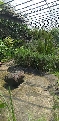 El jardincito - Thumbnail