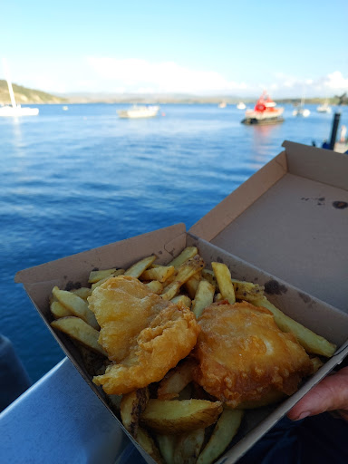 Raglan Boat Charters - Whaingaroa Wahinemoe - Thumbnail