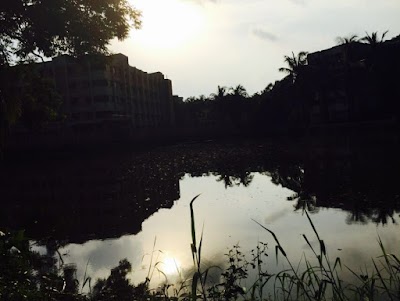Photos of Krishakratna Sheikh Hasina Hall