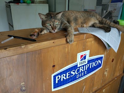 Photos of PETSMILE CLINIC - Drh. Nyoman
