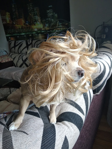 Recatelo - Visual