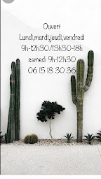 Photo n°2 de Alyna coiffure mixte et rituel head spa à Tourbes (Salon de coiffure)