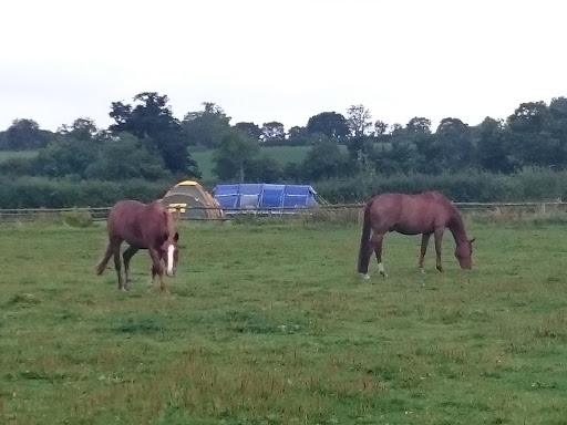 Bridge Farm Caravan Site - Thumbnail