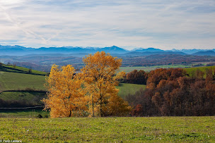 Photo n°5 de Le Rucher des Ânes à Rieux-Volvestre (Centre de randonnée équestre)