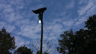Photos of পারগোবিন্দপুর জামে মসজিদ