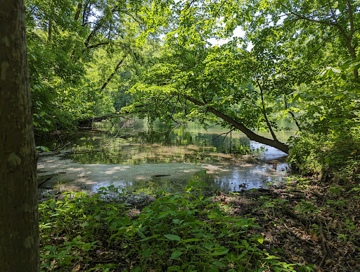 Annie and Abel Van Meter State Park Gallery - United States