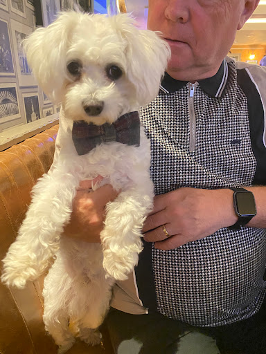 Kutz Dog Grooming - Thumbnail
