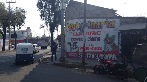 Veterinaria Animals House
