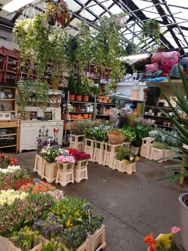 Flower warehouse