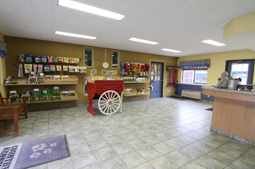 Country Kennels and Dawg Waterpark