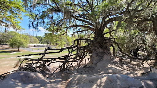 Medard Park/ Hillsborough County Parks