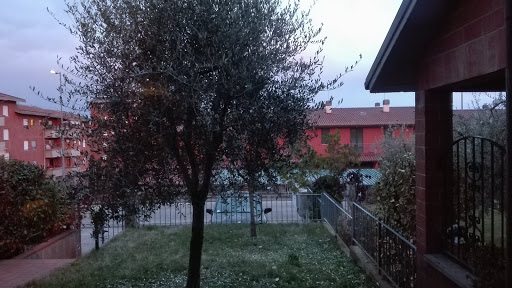Goracci Adriano - Visual