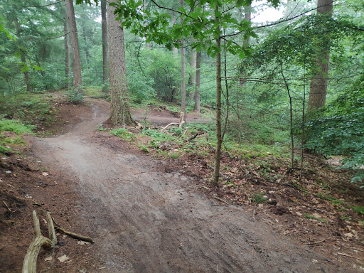 MTB Route Lunteren (startpunt) - Thumbnail