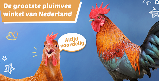 Junai.nl - Visual