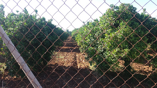 Agroquímicos en Sevilla