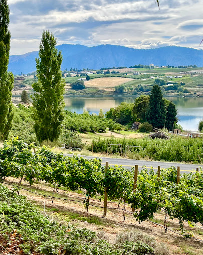 Tildio Winery - Thumbnail