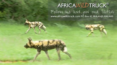 Photos of Africa Wild Truck