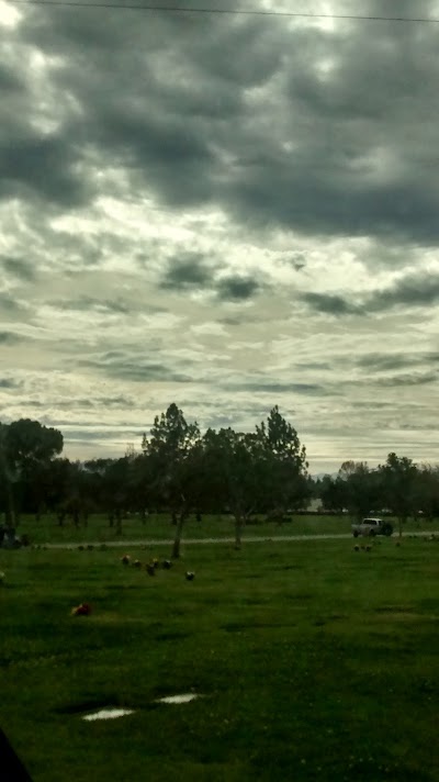 Photos of Eden Memorial Park