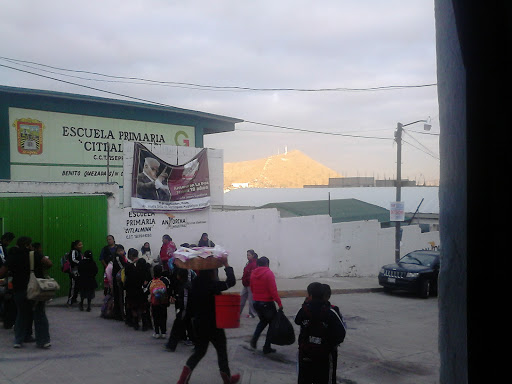 Escuela Primaria CITLALMINA - Thumbnail