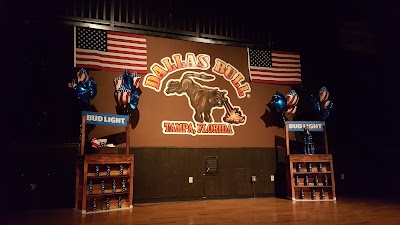 Photos of Dallas Bull